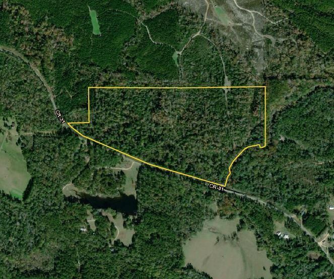 Millry, Washington County, AL Recreational Property, Timberland