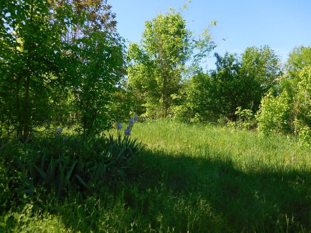 104 Bell Lane, Granville, TN 38564 MLS 191526 LandWatch