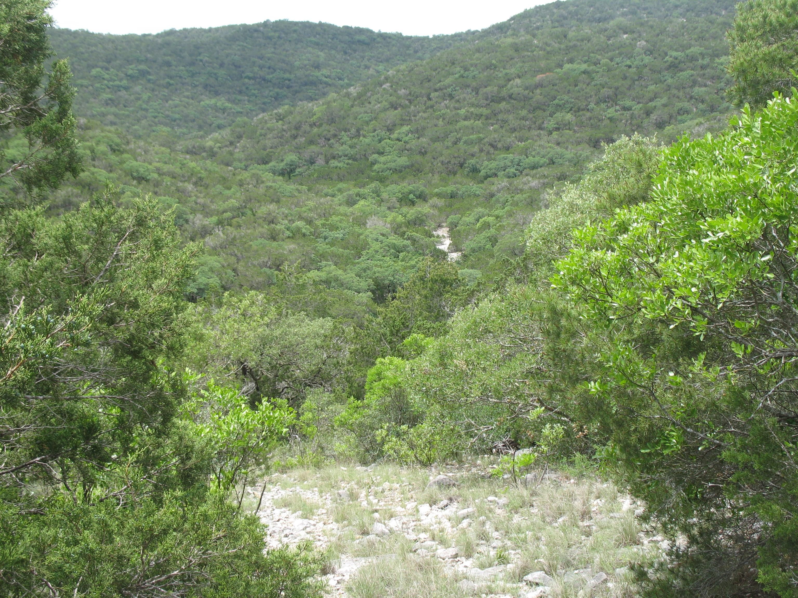 Leakey, Real County, TX Recreational Property, Hunting Property for