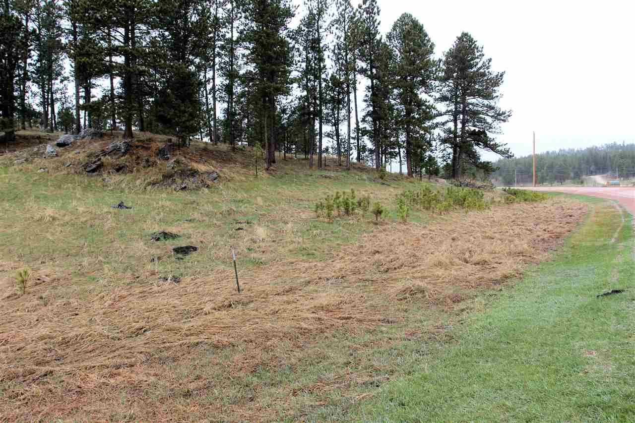 Custer, Custer County, SD Undeveloped Land, Homesites for sale Property