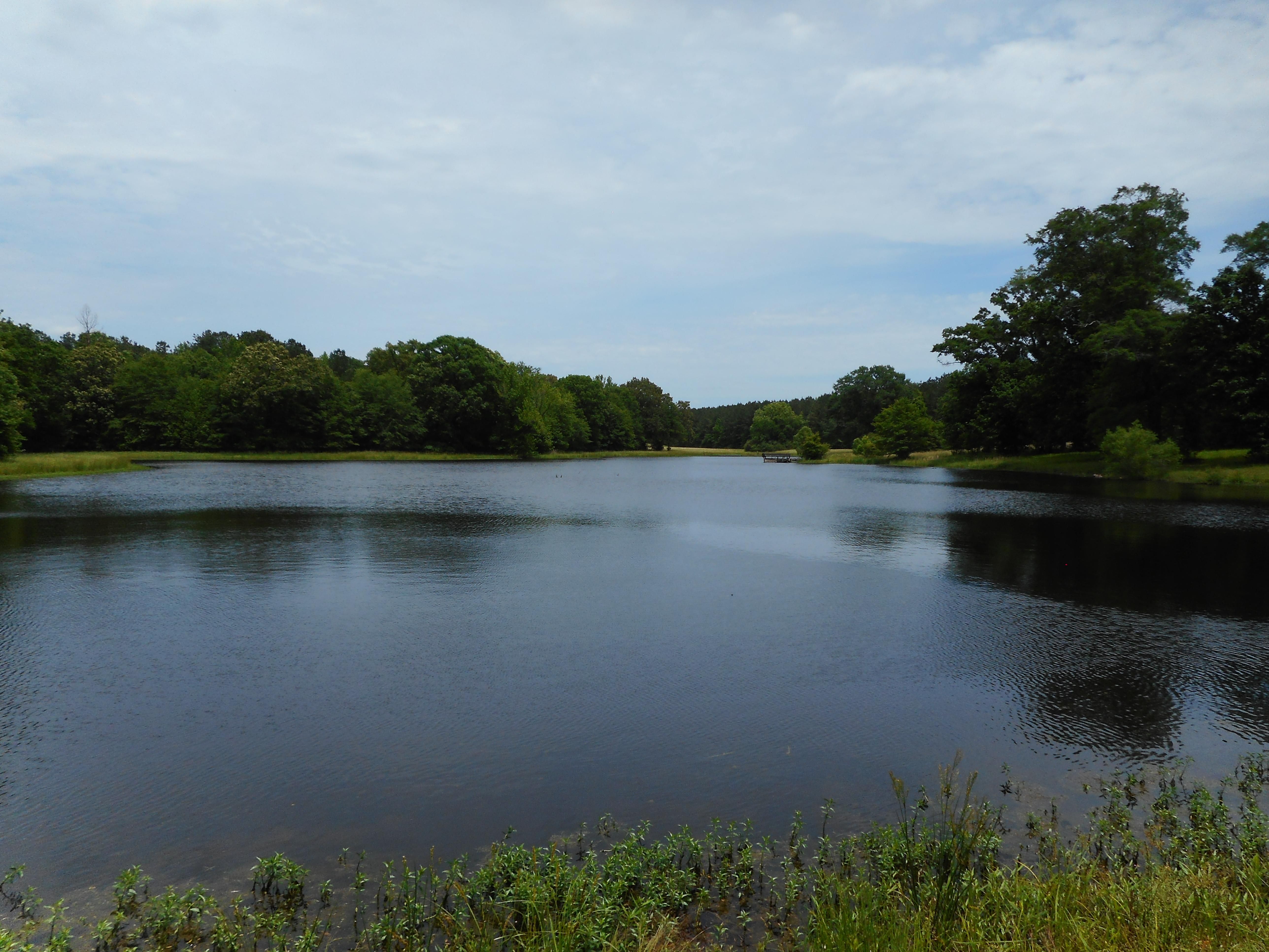 Pickens, Madison County, MS Recreational Property, Hunting Property