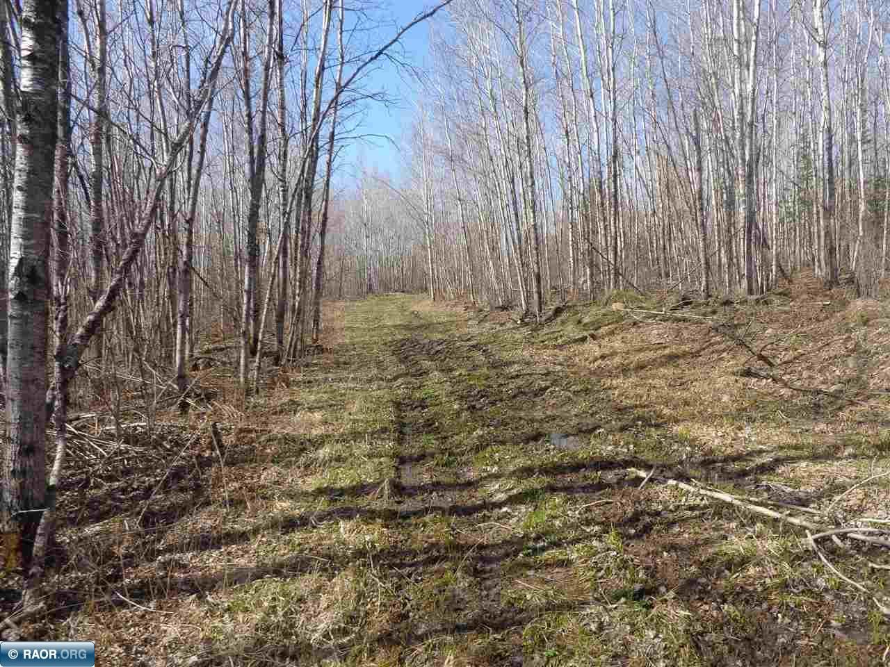 Side Lake, Saint Louis County, MN Undeveloped Land for sale Property ID