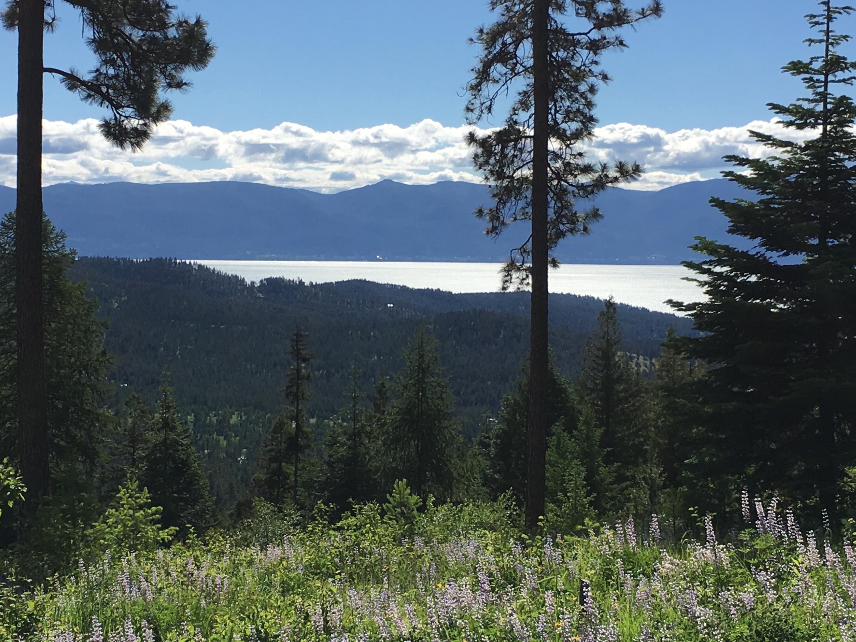 Rollins, Lake County, MT Farms and Ranches for sale Property ID