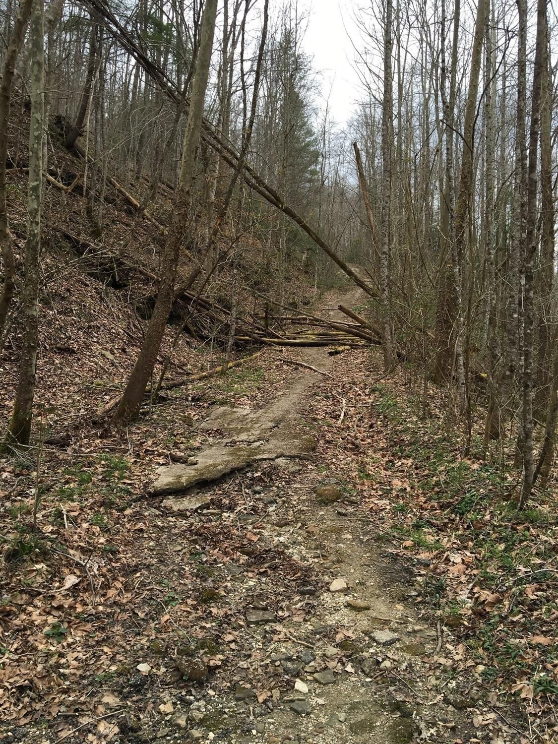 Slade, Powell County, KY Farms and Ranches, Homesites for sale Property