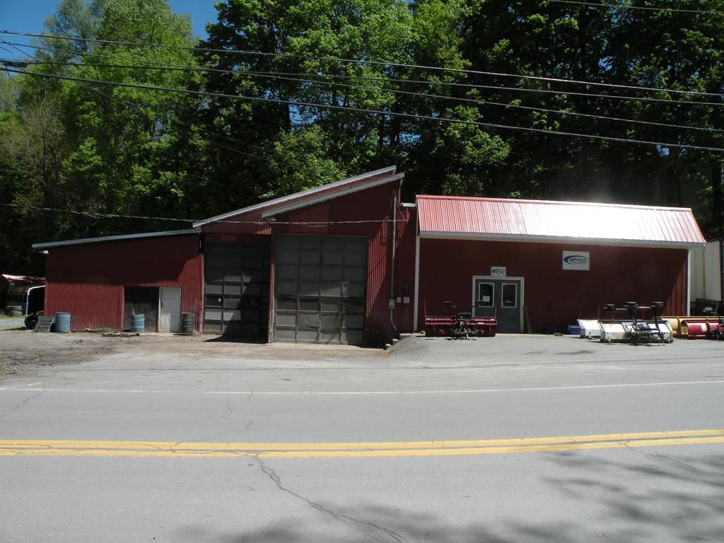 Laceyville, Wyoming County, PA Commercial Property, House for sale