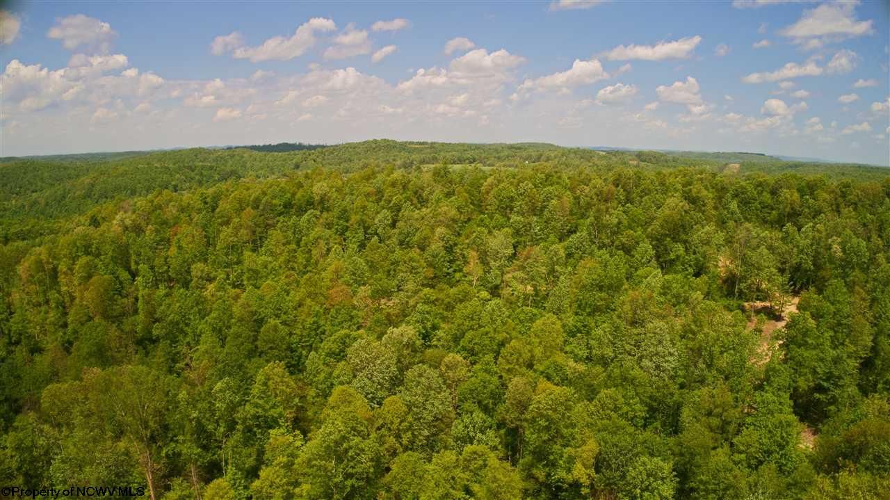 Tunnelton, Preston County, WV Farms and Ranches for sale Property ID