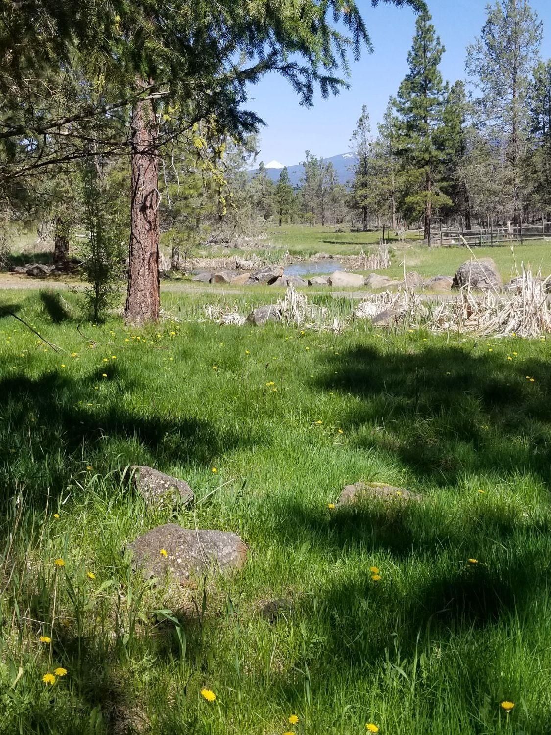 Keno, Klamath County, OR Undeveloped Land, Homesites for sale Property ID 334932230 LandWatch