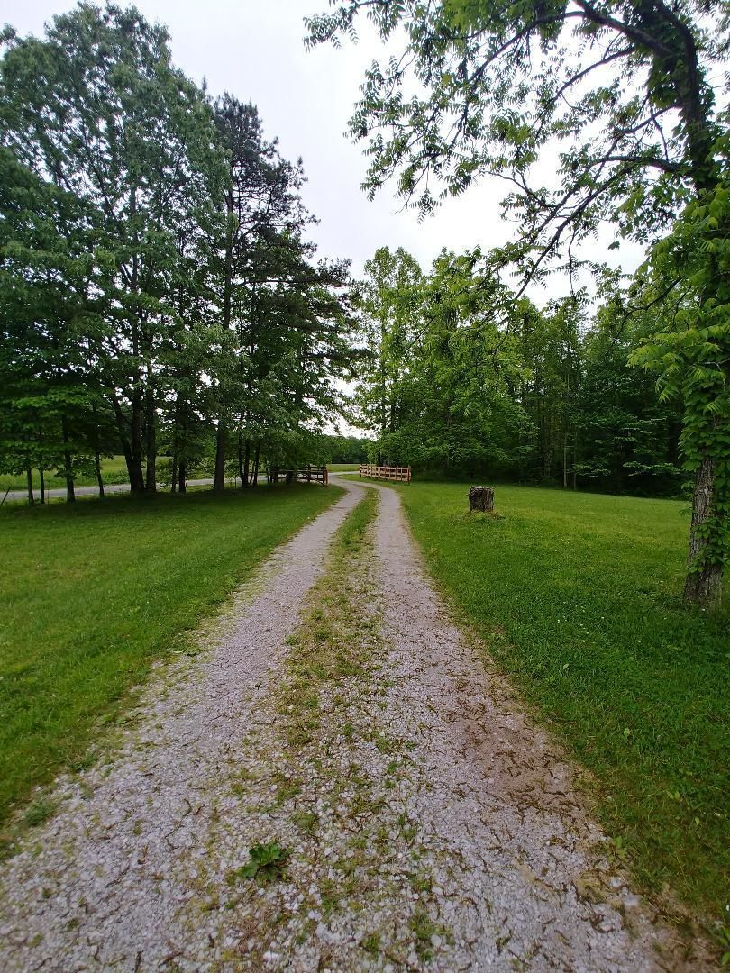 Sunbright, County, TN Undeveloped Land for sale Property ID