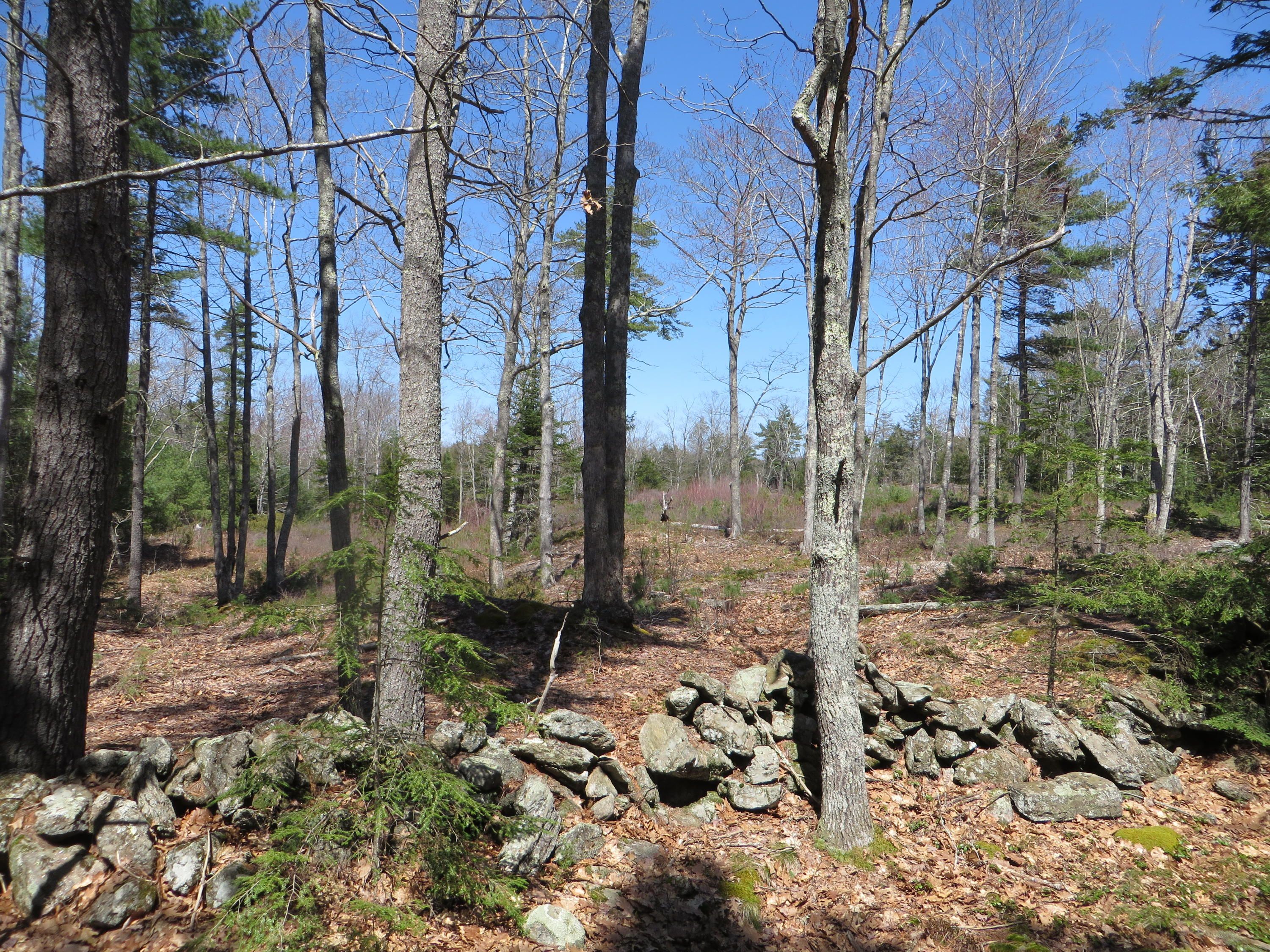 West Bath, Sagadahoc County, ME Undeveloped Land for sale Property ID