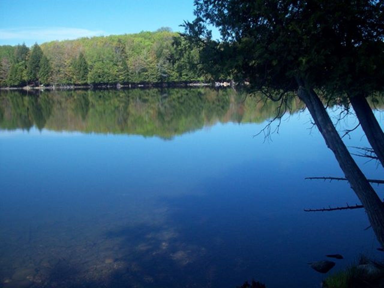 Oma, Iron County, WI Undeveloped Land for sale Property ID 334946974