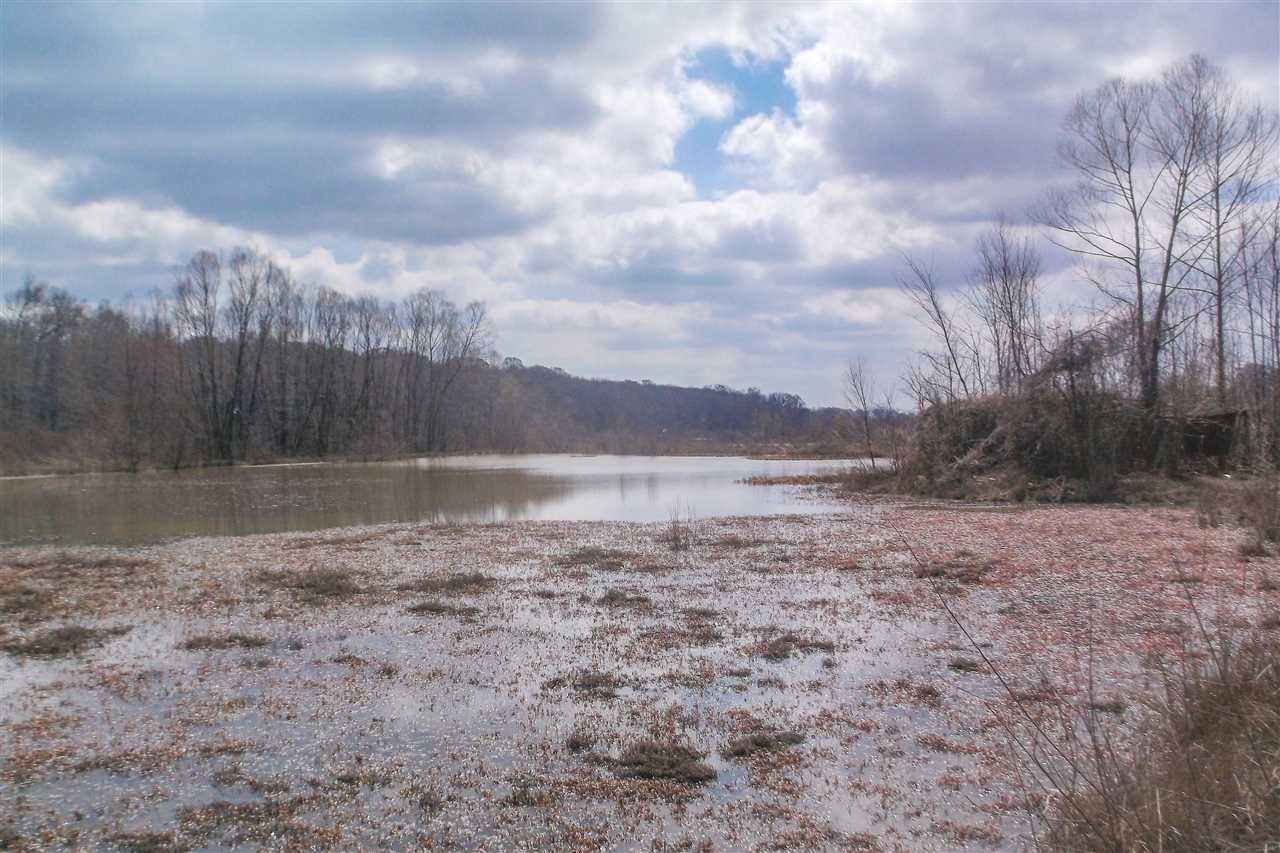 Trenton, Gibson County, TN Farms and Ranches for sale Property ID