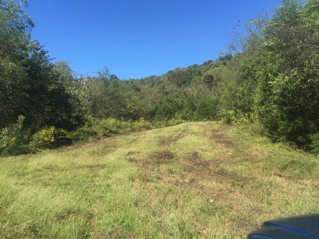 Pleasant Shade, Smith County, TN Farms and Ranches for sale Property ID