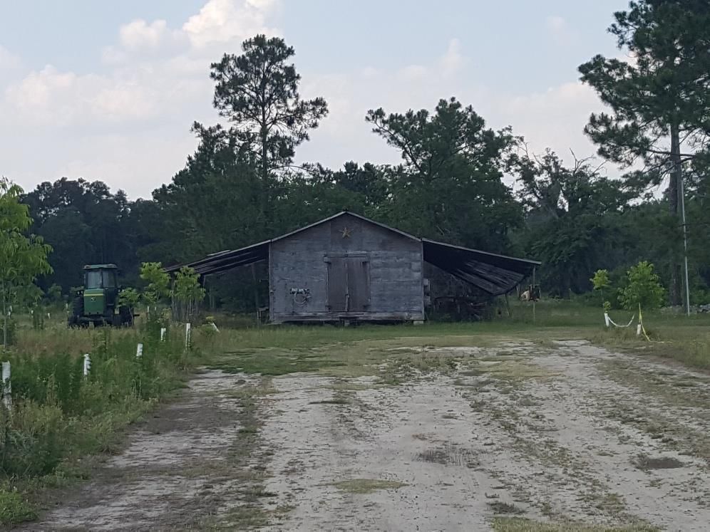 Valdosta, Lowndes County, GA Undeveloped Land for sale Property ID