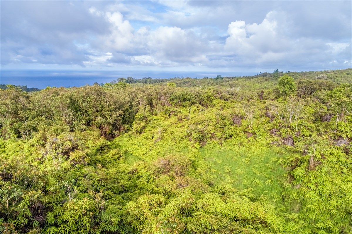 Papaaloa, Hawaii County, HI Undeveloped Land for sale Property ID 334968708 LandWatch