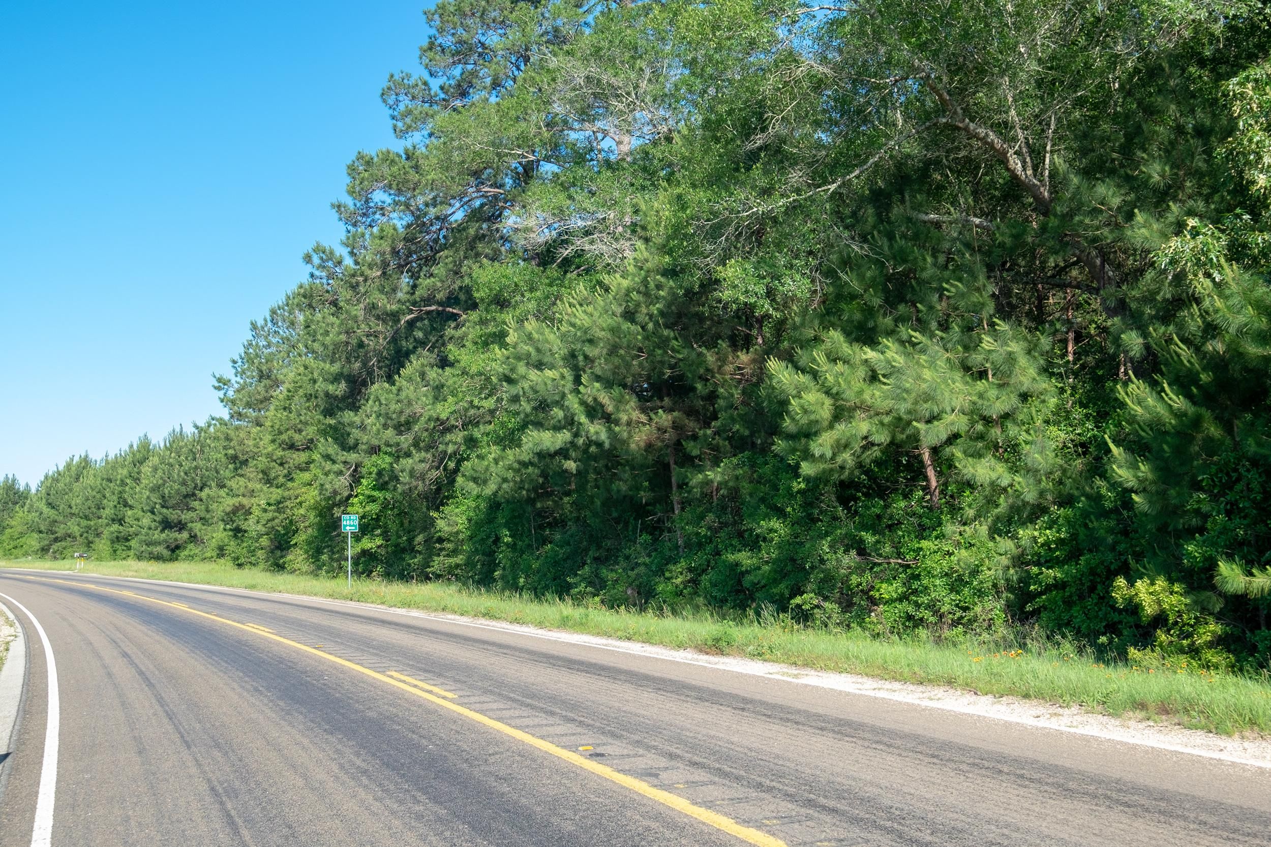 Warren, Tyler County, TX Timberland Property, Hunting Property for sale