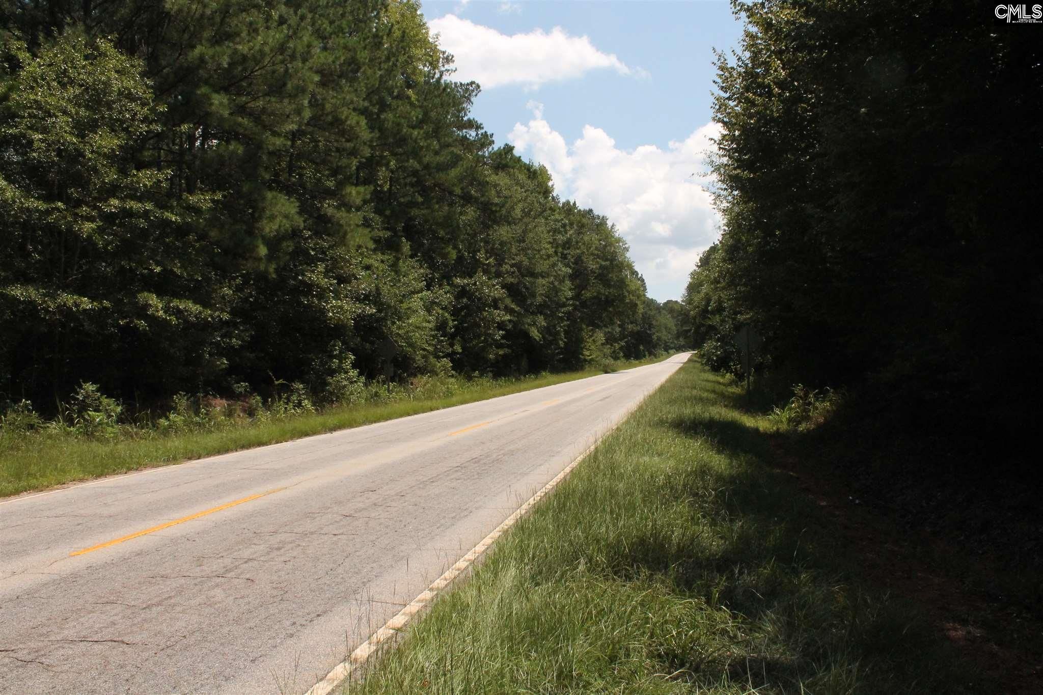 Little Mountain, Newberry County, SC Undeveloped Land for sale Property