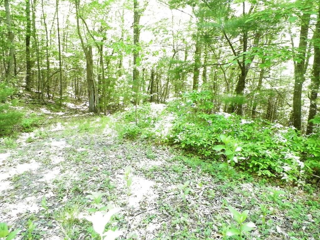 Bland, Bland County, VA Farms and Ranches for sale Property ID