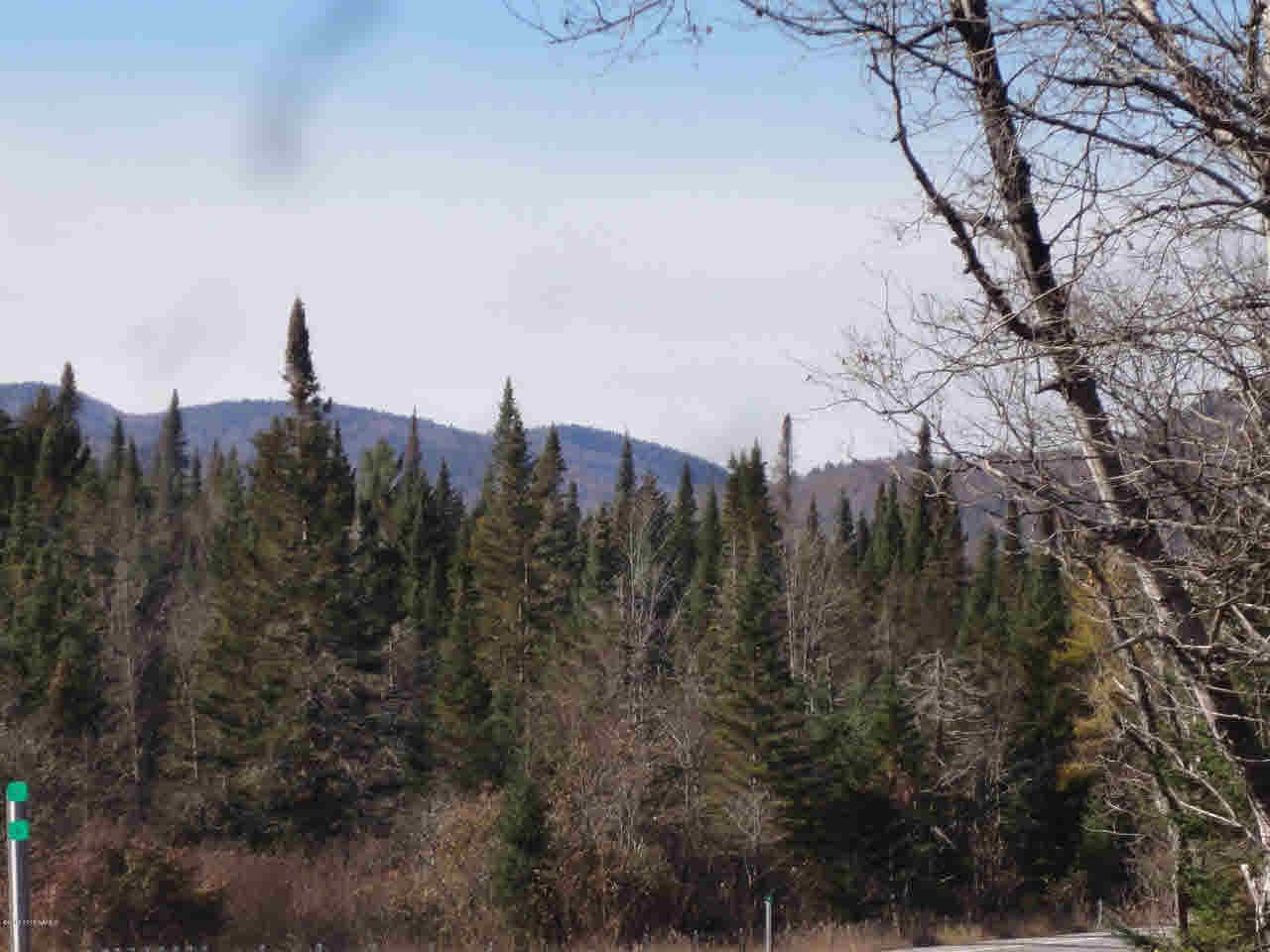 Minerva, Essex County, NY Undeveloped Land for sale Property ID