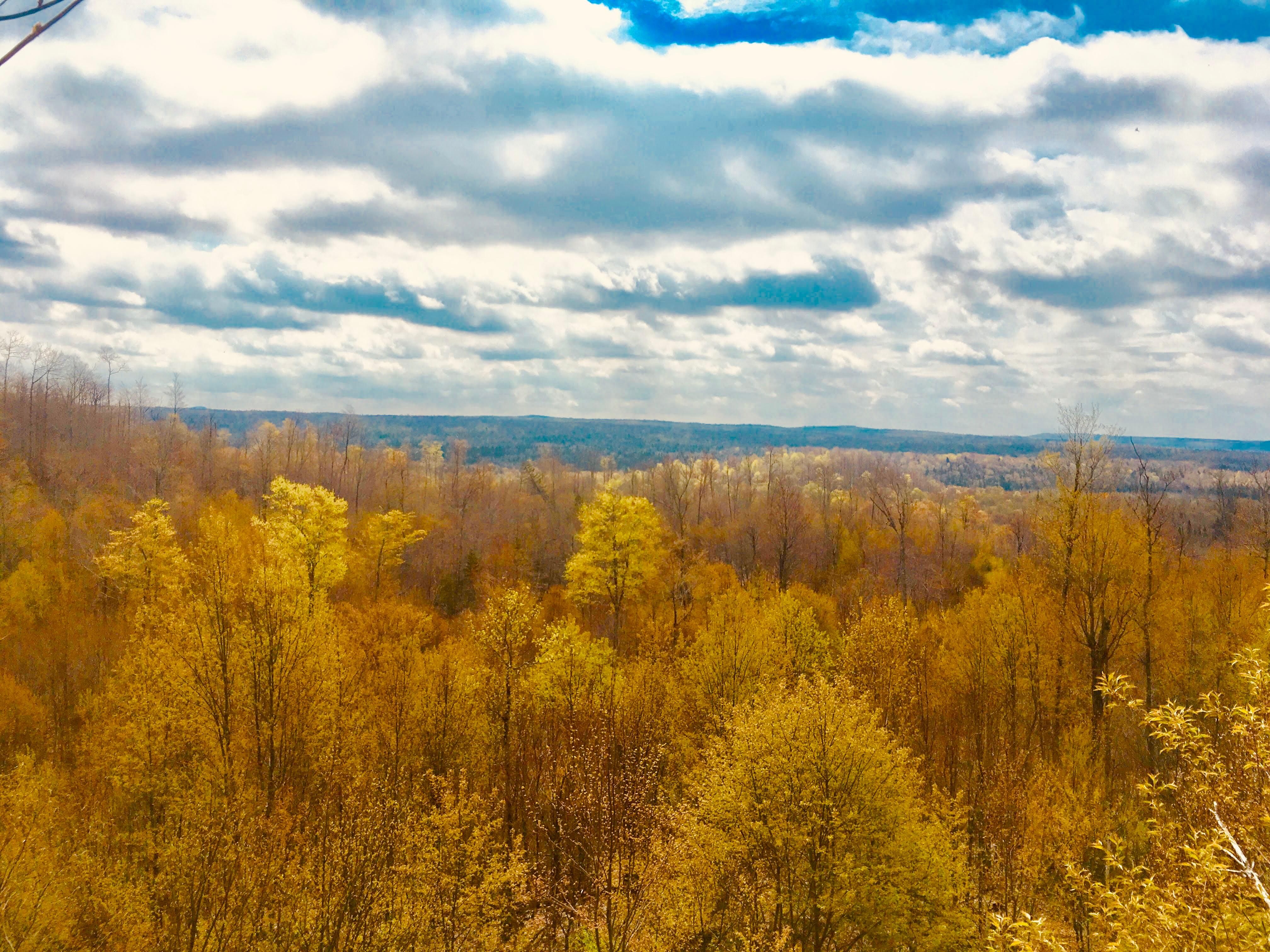 Parishville, Saint Lawrence County, NY Recreational Property