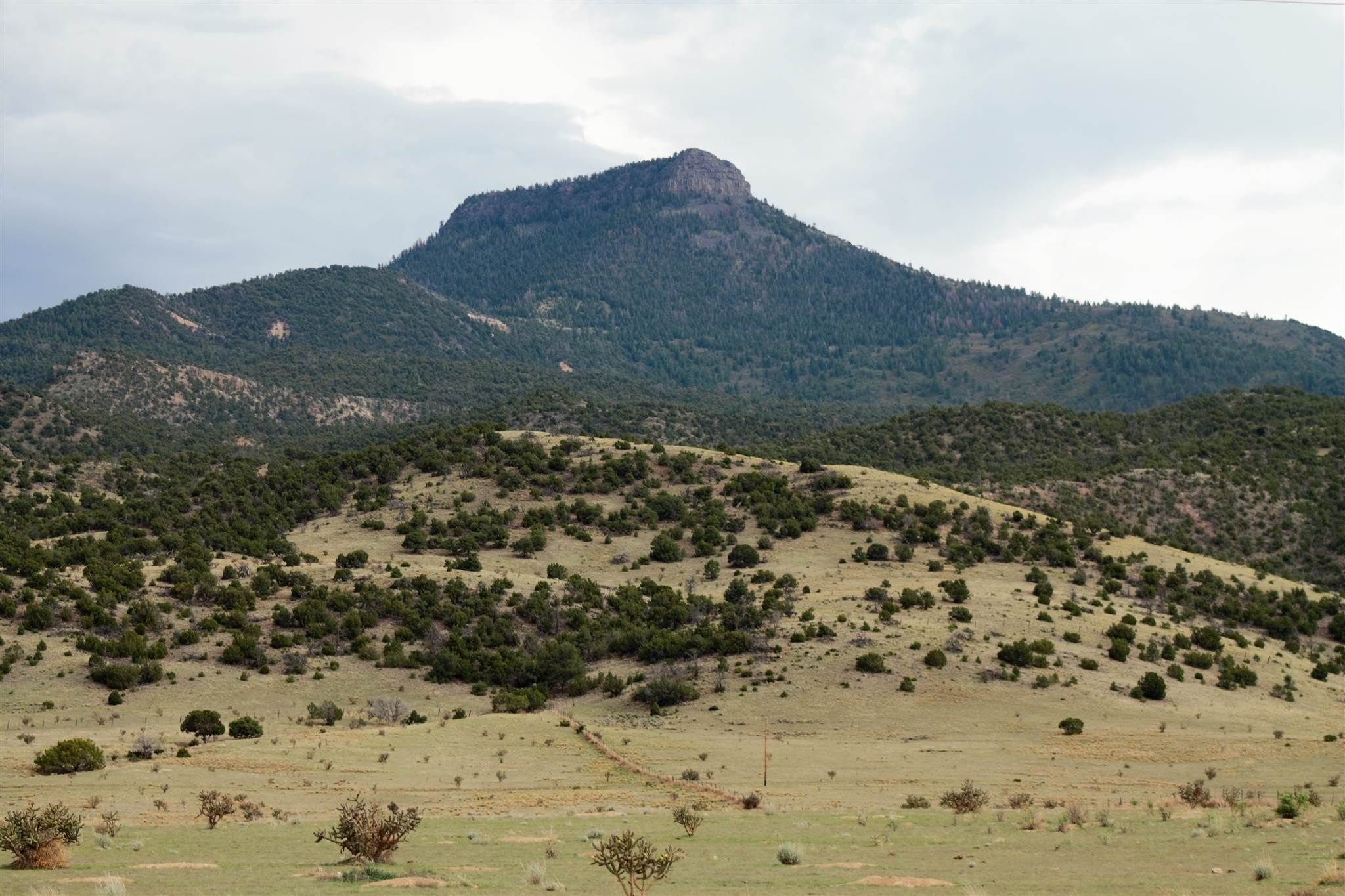 Abiquiu, Rio Arriba County, NM Undeveloped Land for sale Property ID