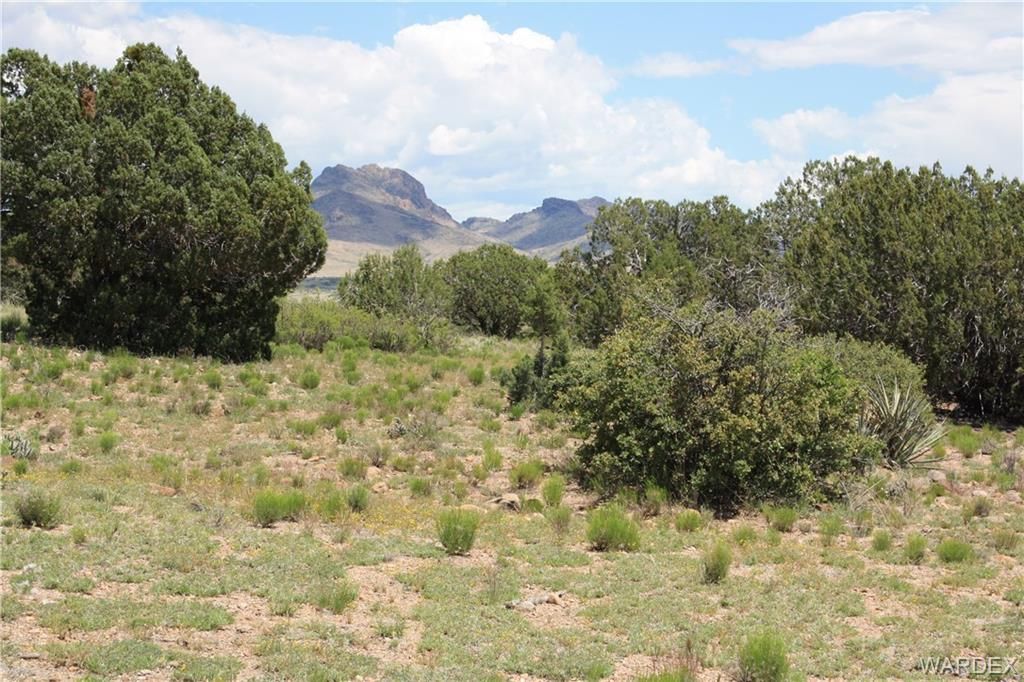 Wikieup, Mohave County, AZ Undeveloped Land for sale Property ID