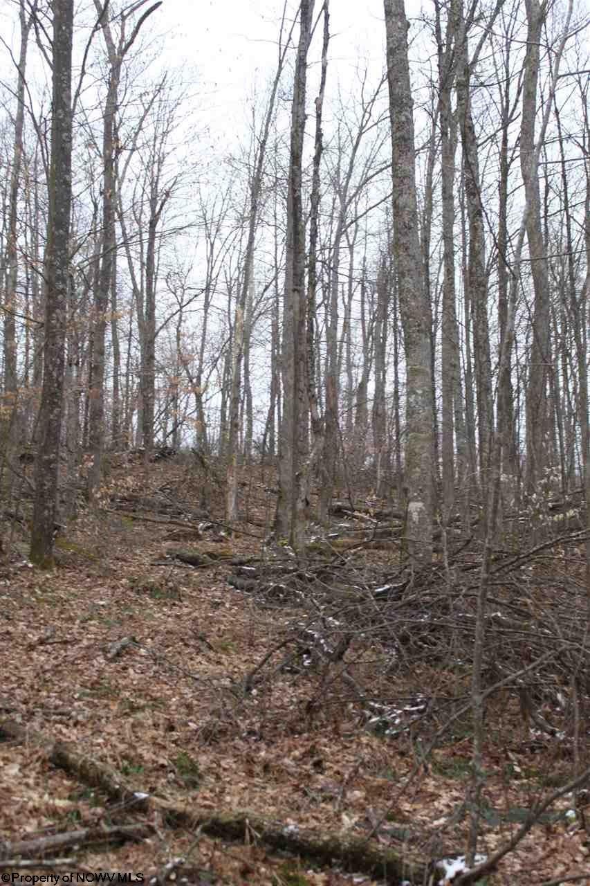 Cowen, ster County, WV Undeveloped Land for sale Property ID