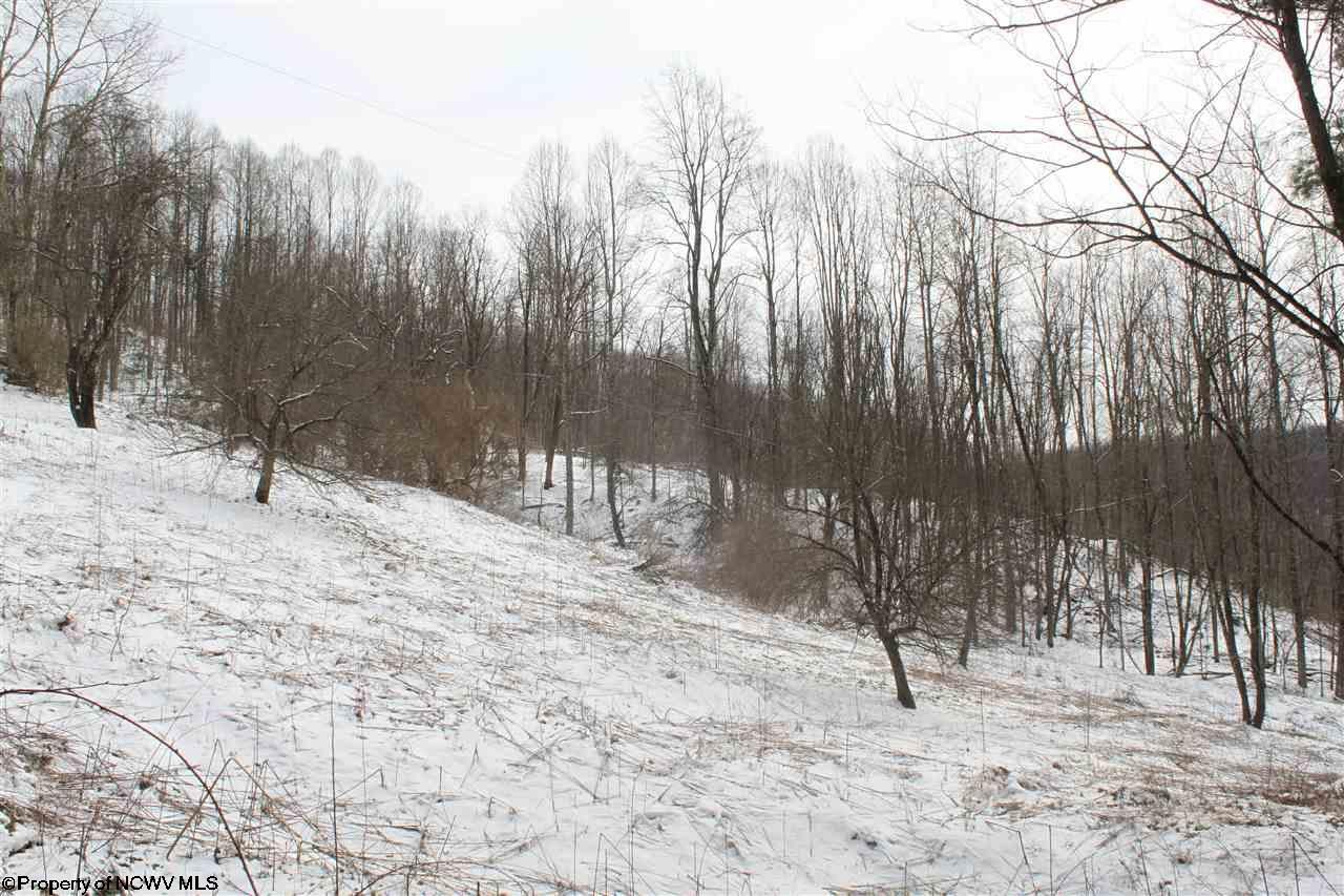 ster Springs, ster County, WV Undeveloped Land for sale Property
