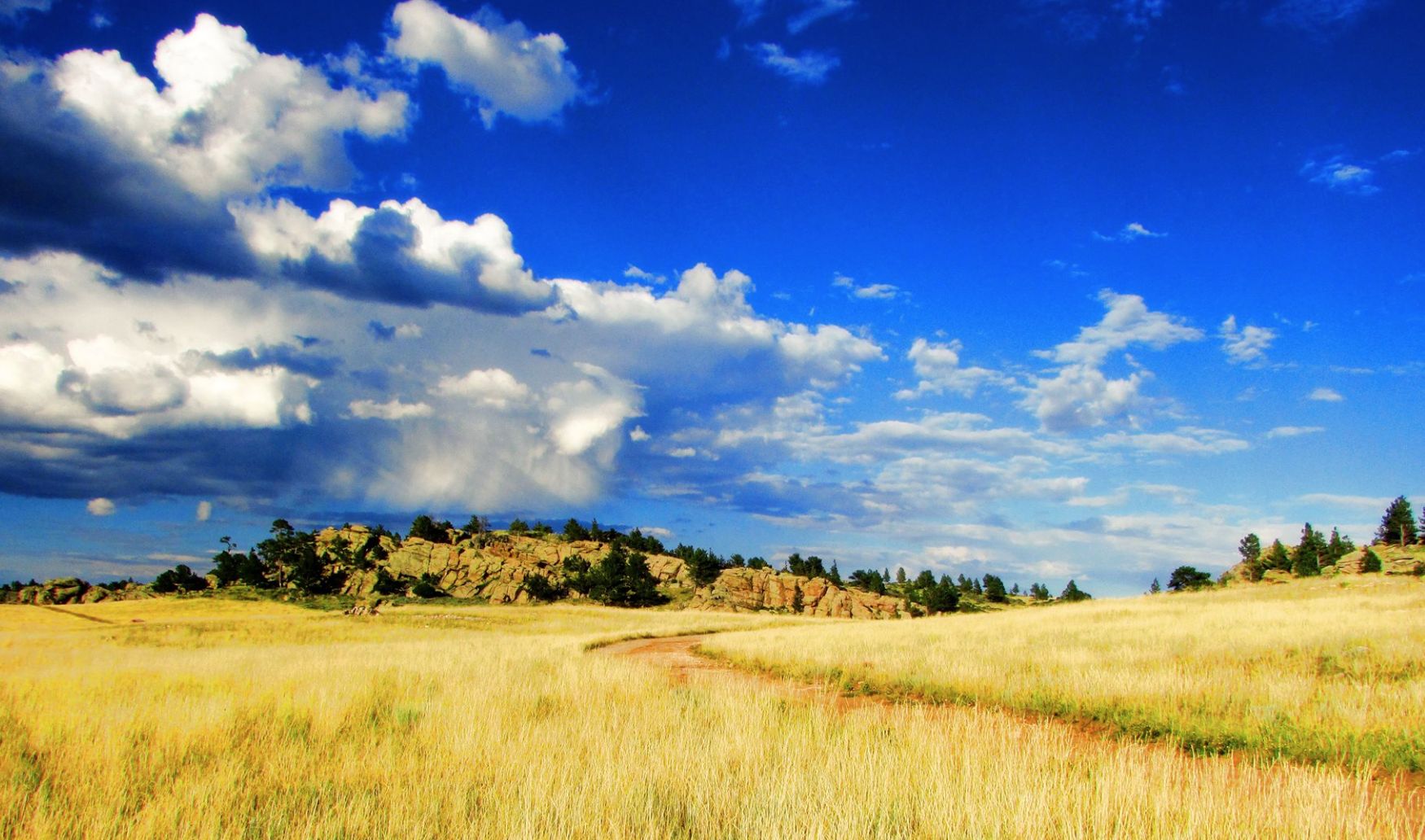 Wheatland, Albany County, WY Recreational Property, Undeveloped Land