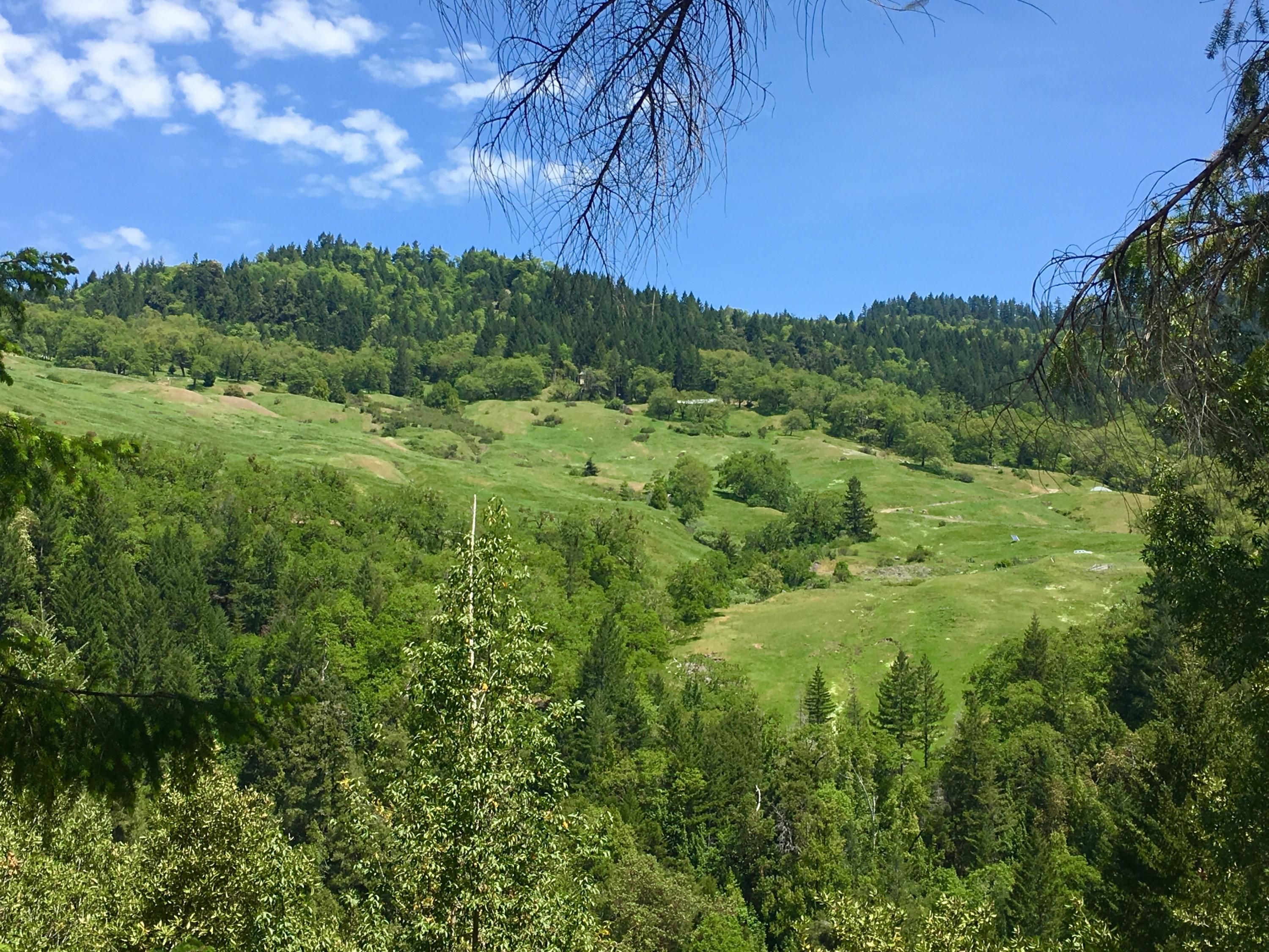 Blue Lake, Humboldt County, CA Undeveloped Land for sale Property ID