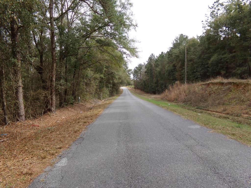 Vossburg, Clarke County, MS Undeveloped Land for sale Property ID