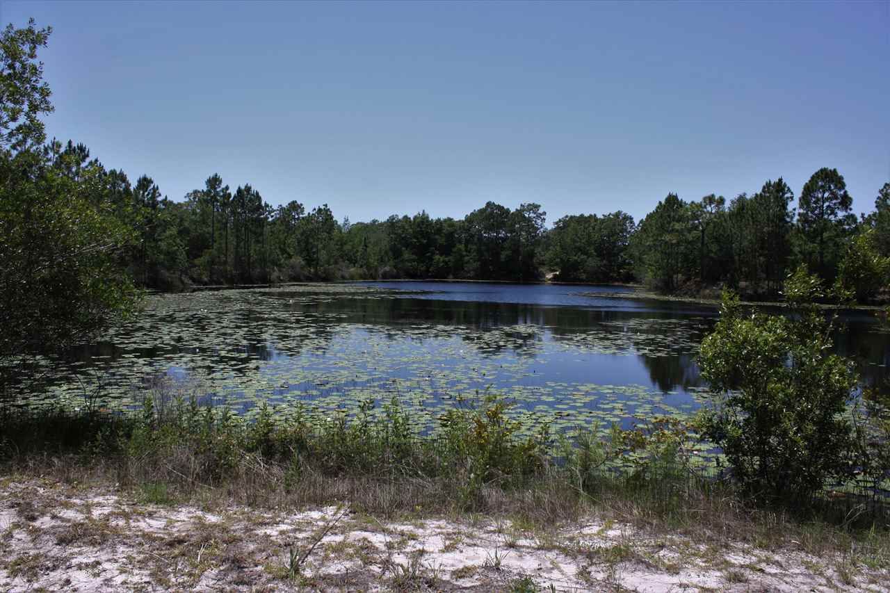 Panacea, Wakulla County, FL Undeveloped Land, Homesites for sale Property ID 335038594 LandWatch
