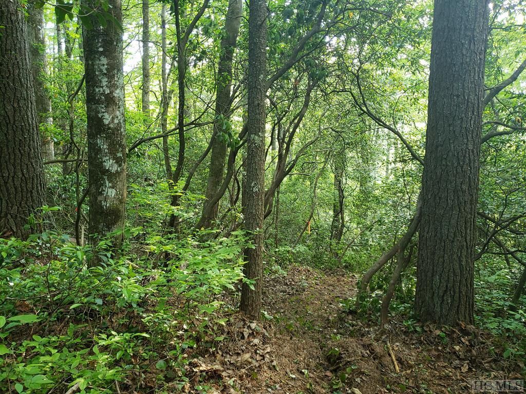 Sapphire, Transylvania County, NC Undeveloped Land, Homesites for sale