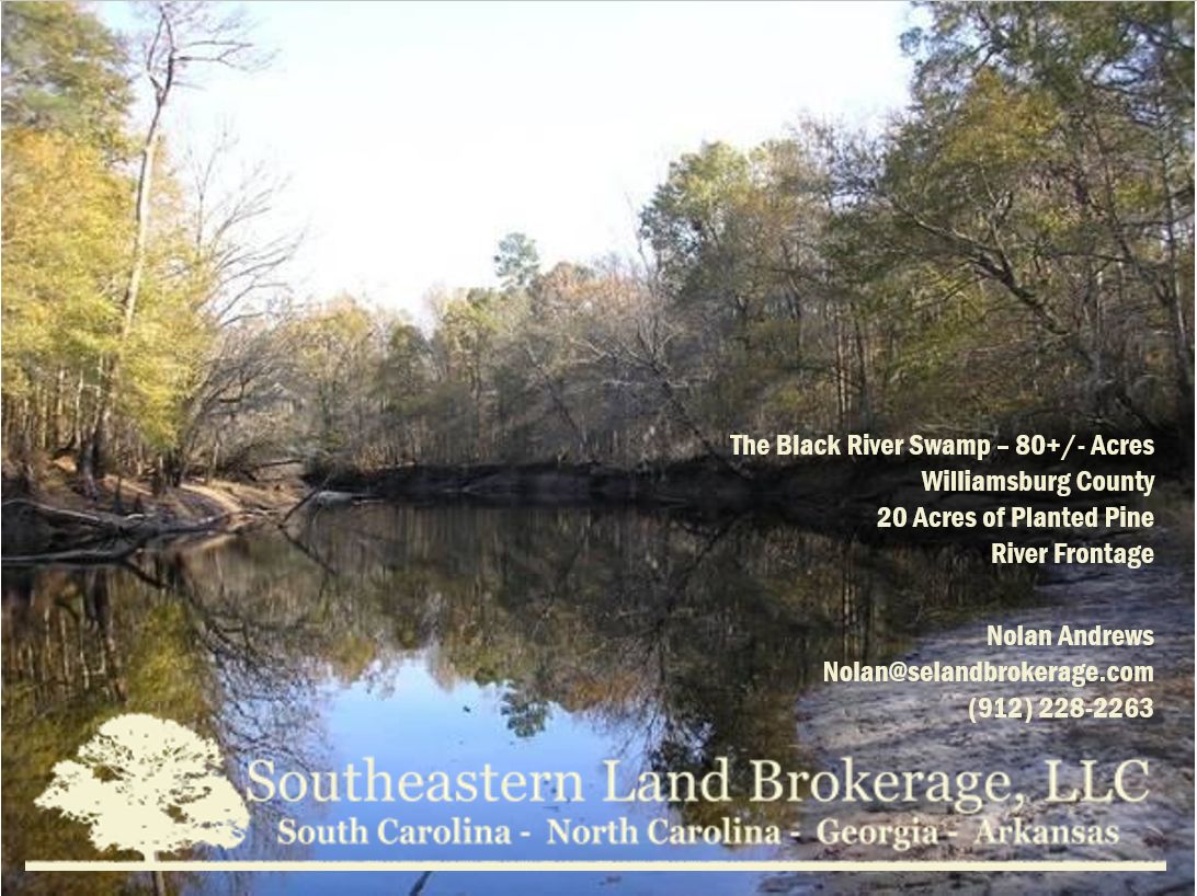 Greeleyville, Williamsburg County, SC Recreational Property