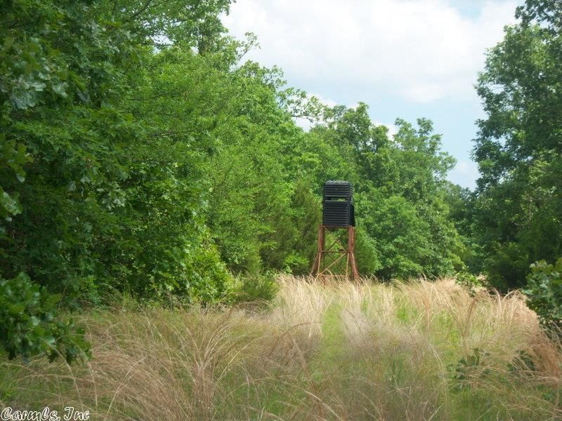 Calamine, Sharp County, AR Undeveloped Land for sale Property ID