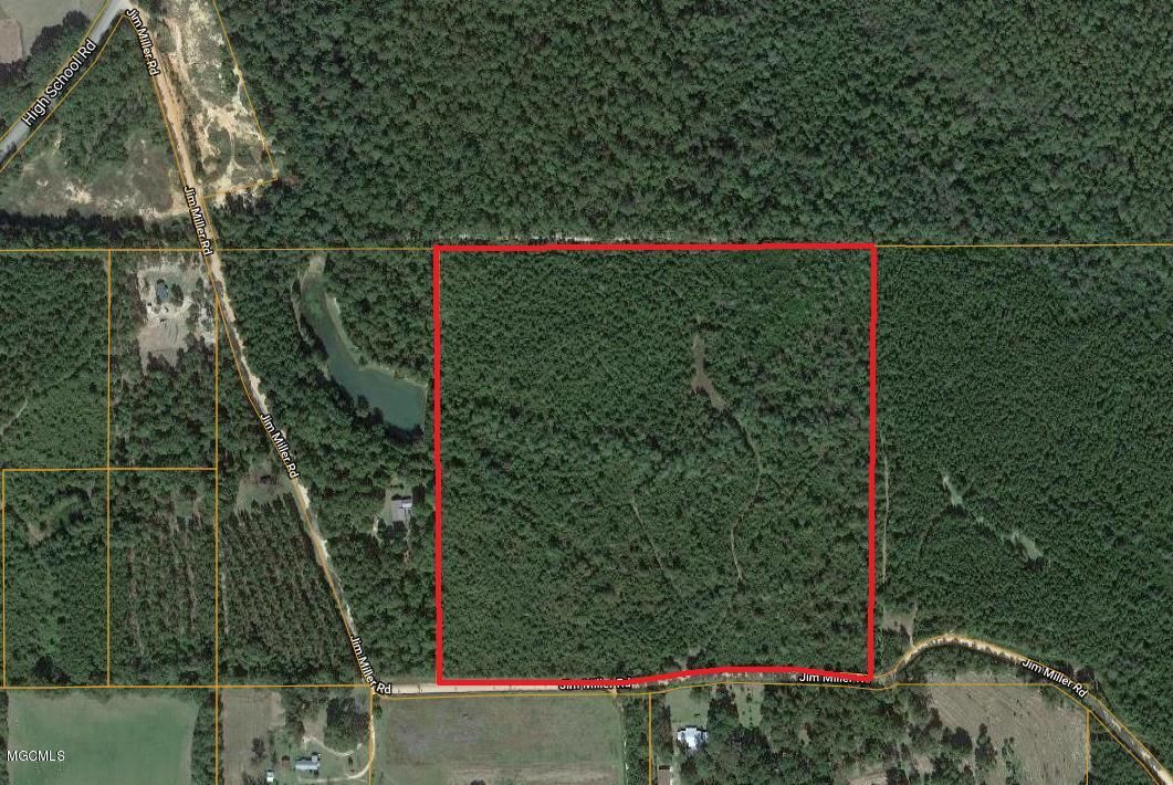 Leakesville, Greene County, MS Undeveloped Land for sale Property ID
