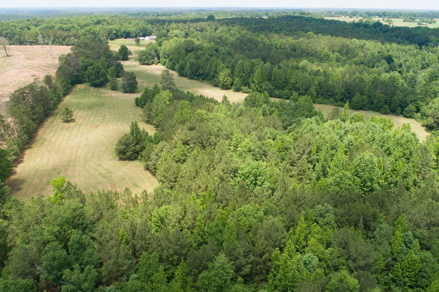 Madison, County, GA Farms and Ranches, Hunting Property, Horse Property, House for sale