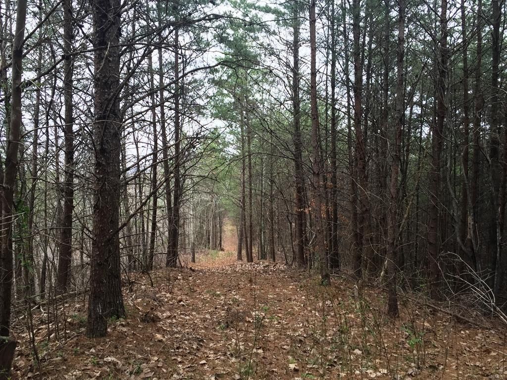 Cisco, Murray County, GA Recreational Property, Timberland Property