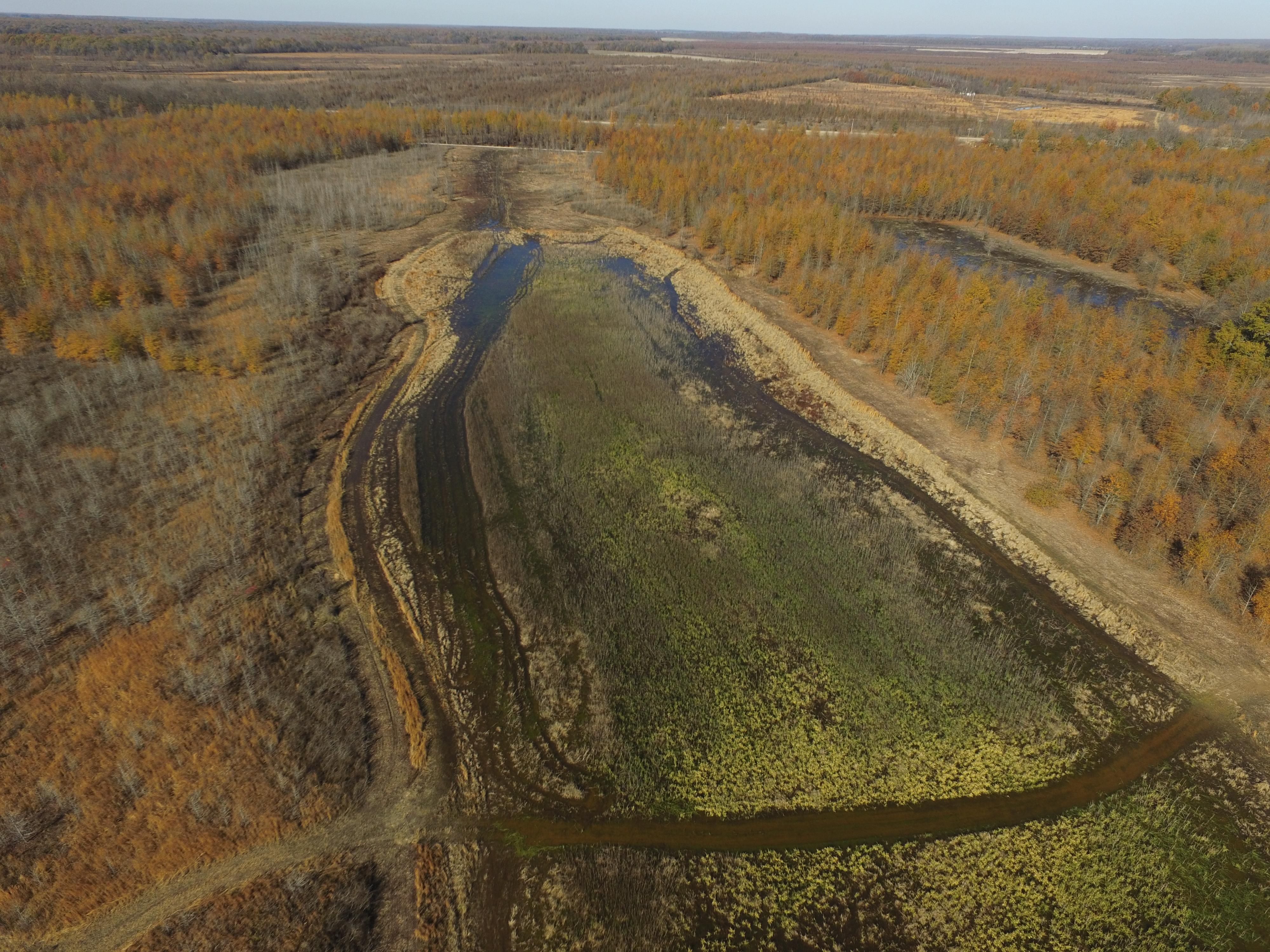 Marianna, Lee County, AR Farms and Ranches, Timberland Property, Undeveloped Land, Riverfront