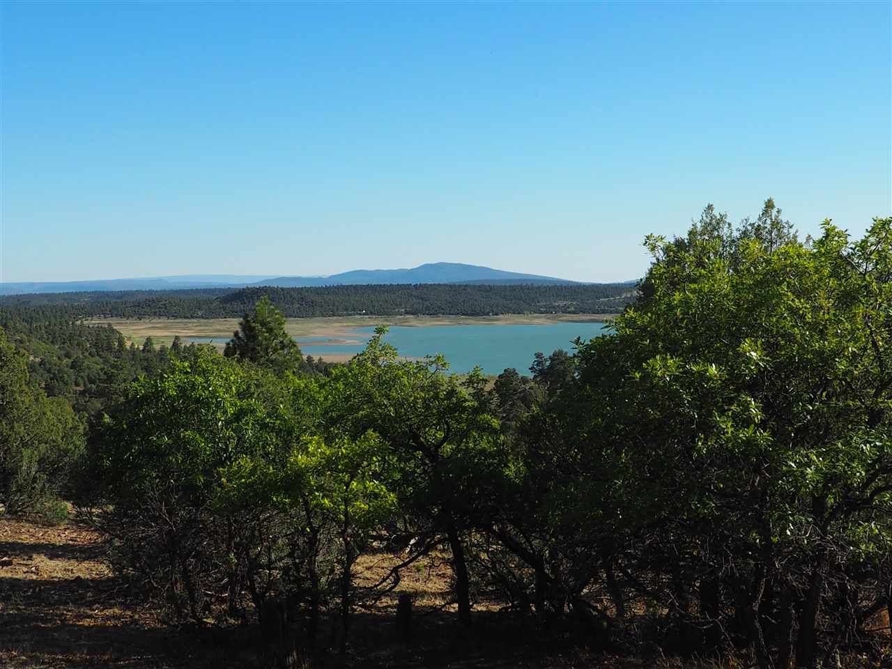 El Vado, Rio Arriba County, NM Undeveloped Land for sale Property ID