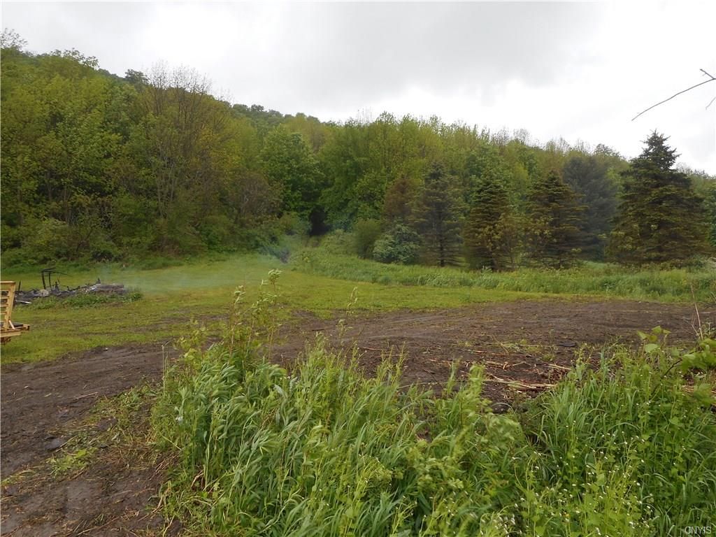 Fabius, Onondaga County, NY Undeveloped Land for sale Property ID
