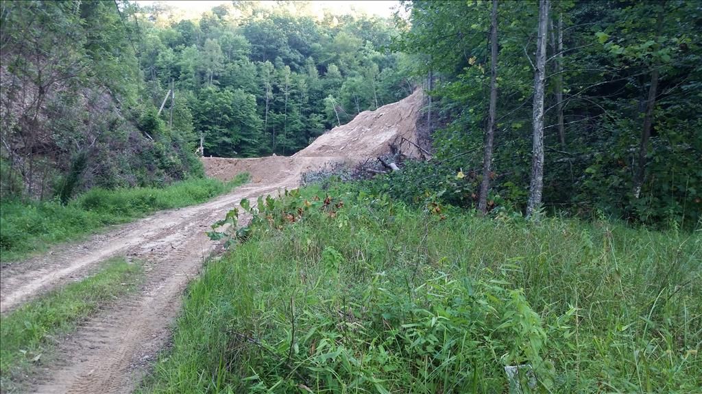 Branchland, Lincoln County, WV Undeveloped Land for sale Property ID