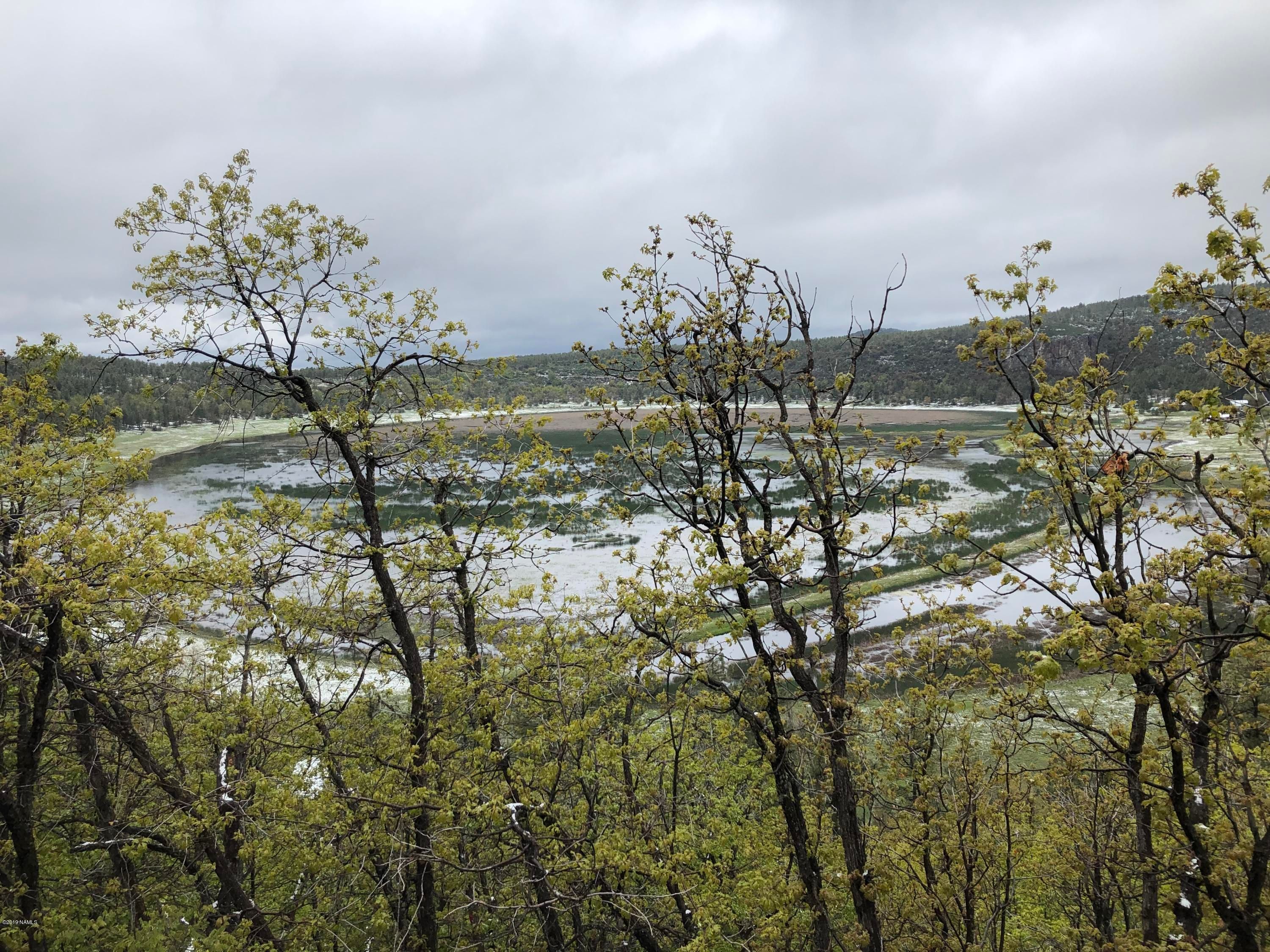 Stoneman Lake, Coconino County, AZ Undeveloped Land, Homesites for sale