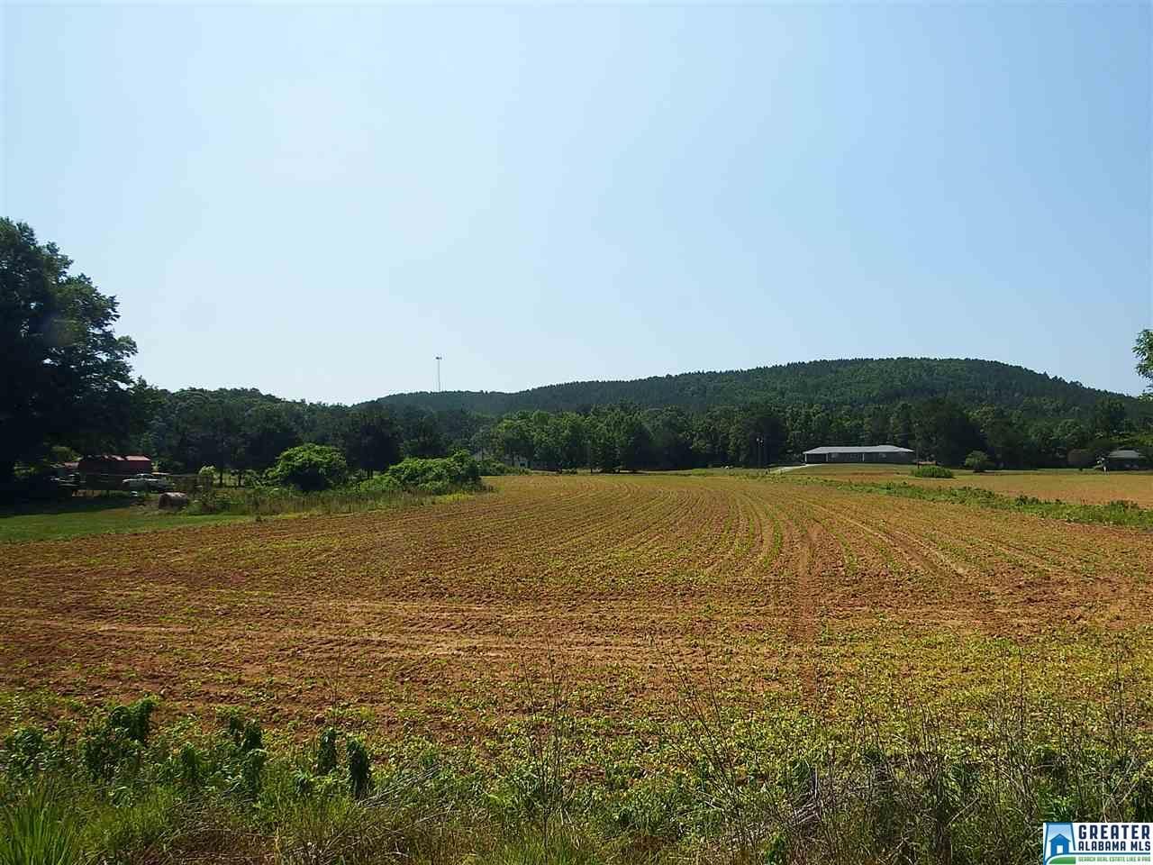 Alpine, Talladega County, AL Undeveloped Land for sale Property ID