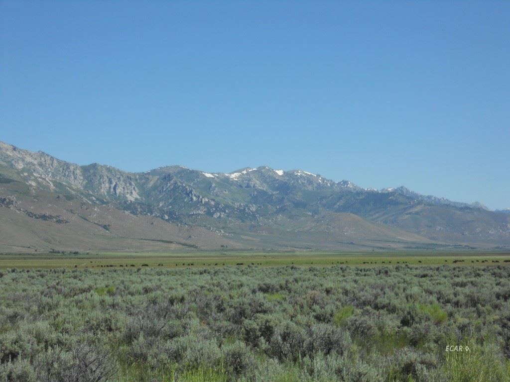 Ruby Valley, Elko County, NV Undeveloped Land for sale Property ID 335110756 LandWatch