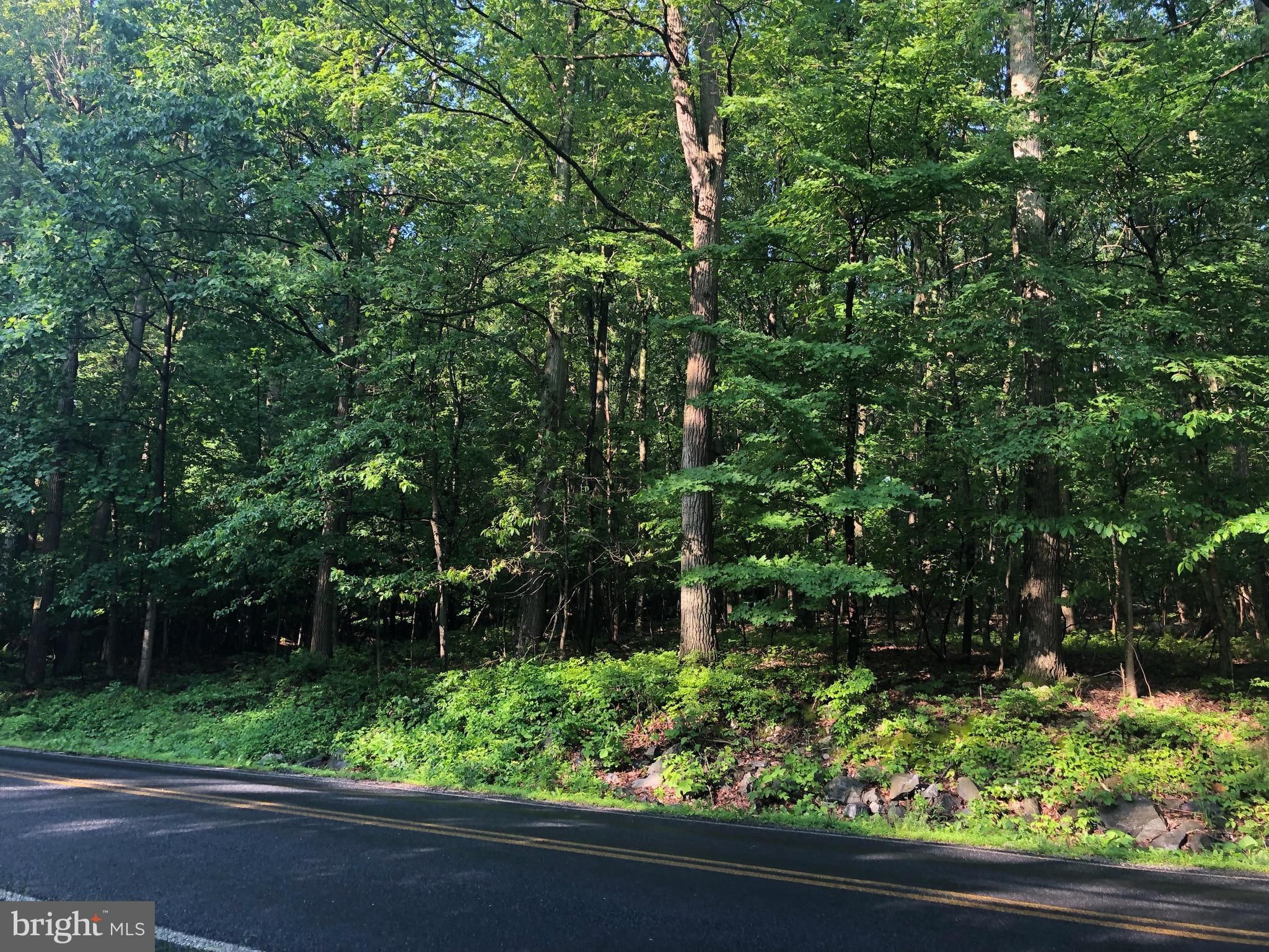 Boiling Springs, Cumberland County, PA Undeveloped Land for sale