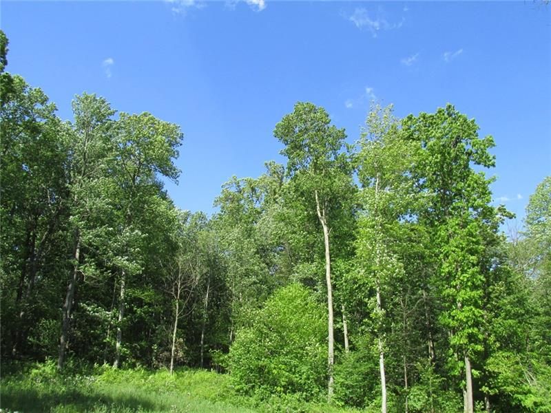 Ligonier, Westmoreland County, PA Farms and Ranches for sale Property