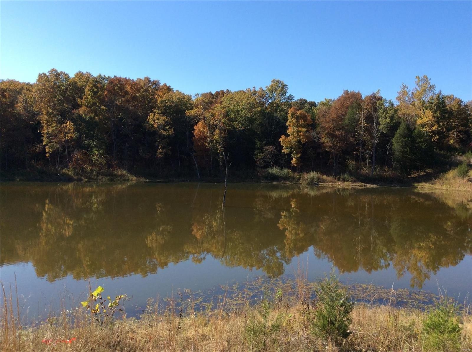 Potosi, Washington County, MO Farms and Ranches for sale Property ID