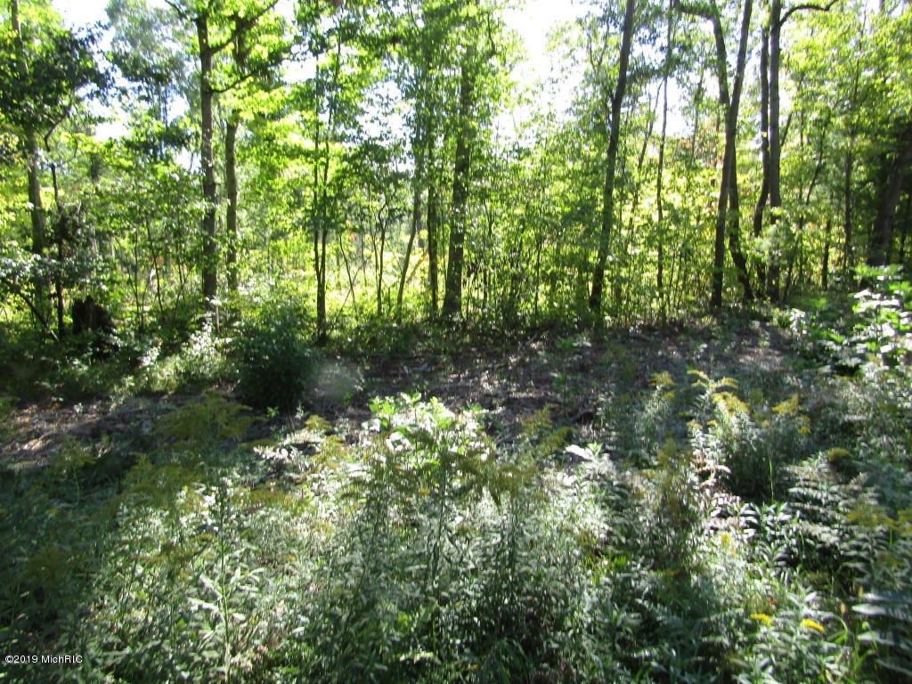 White Cloud, Newaygo County, MI Undeveloped Land, Homesites for sale