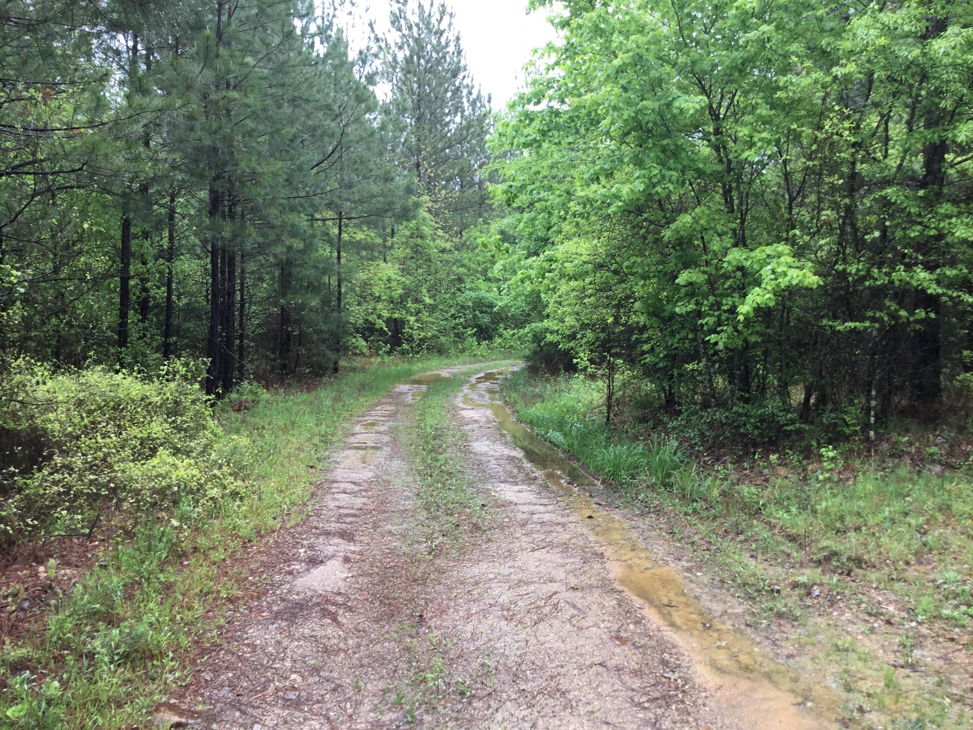 Chula Road, Plainview, AR 72857 LandWatch