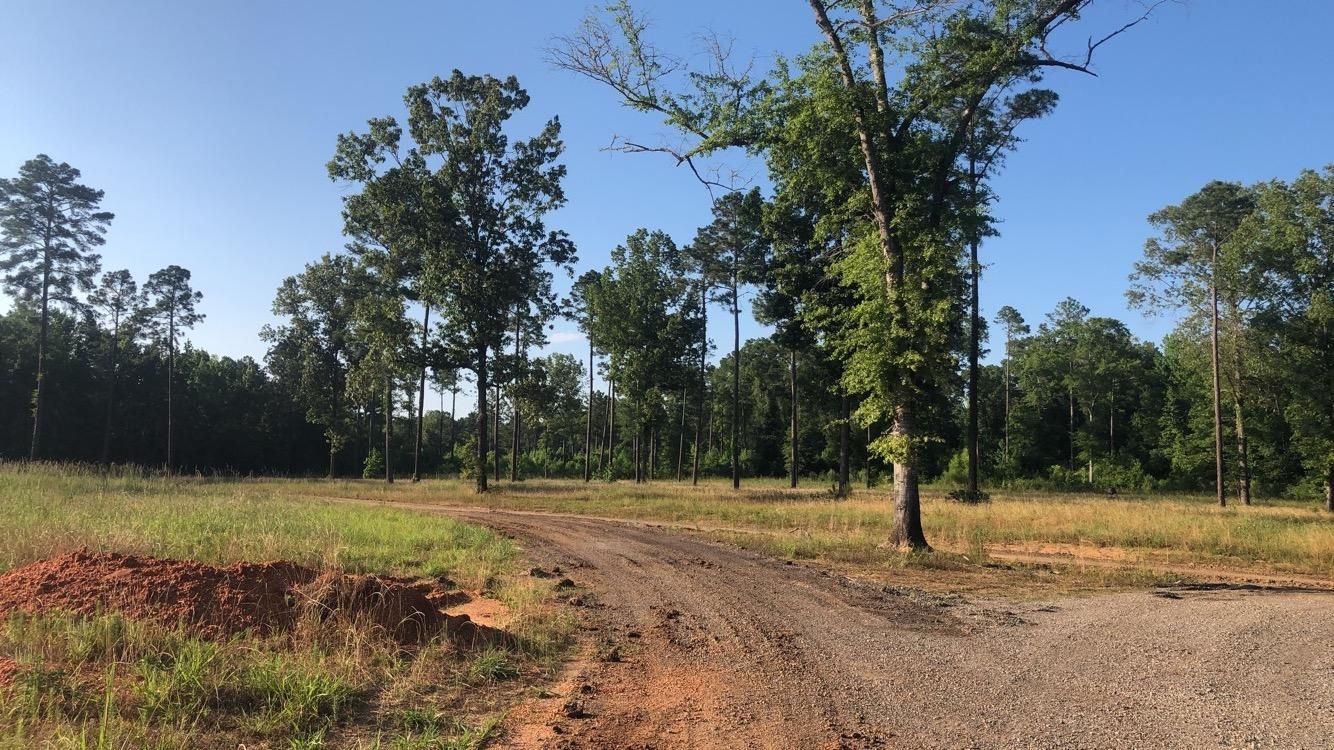 1,837 acres in Orrville, AL, 36767 LandWatch